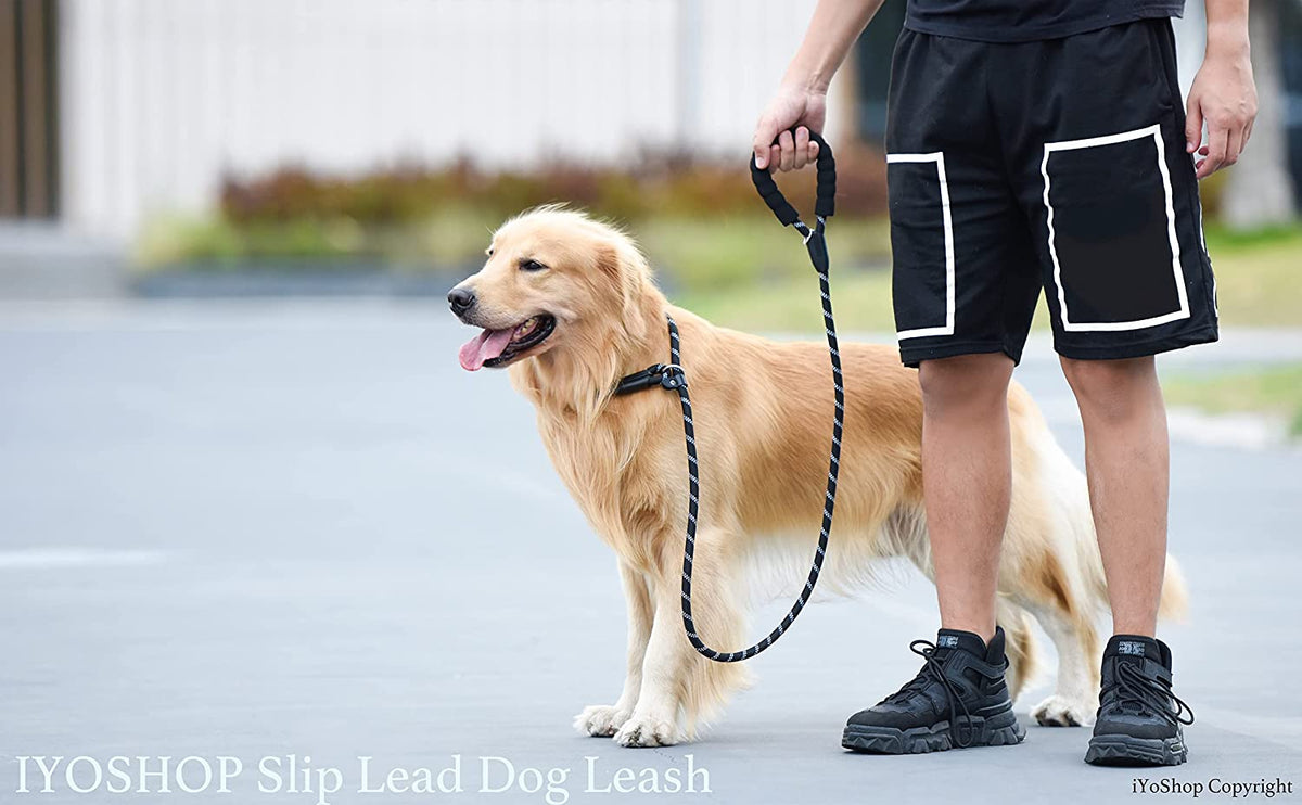 Premium Durable Slip Lead Dog Leash - 1/2" x 6 FT, Black with Padded Handle and Reflective Threads for Ultimate Control